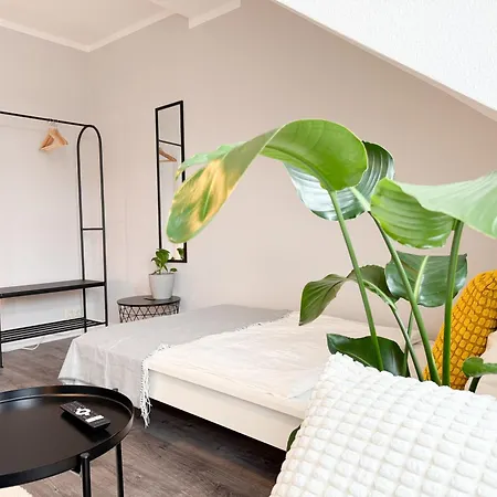 Neu - Gemuetliches Apartment, Gruppen, Zentral Appartement *